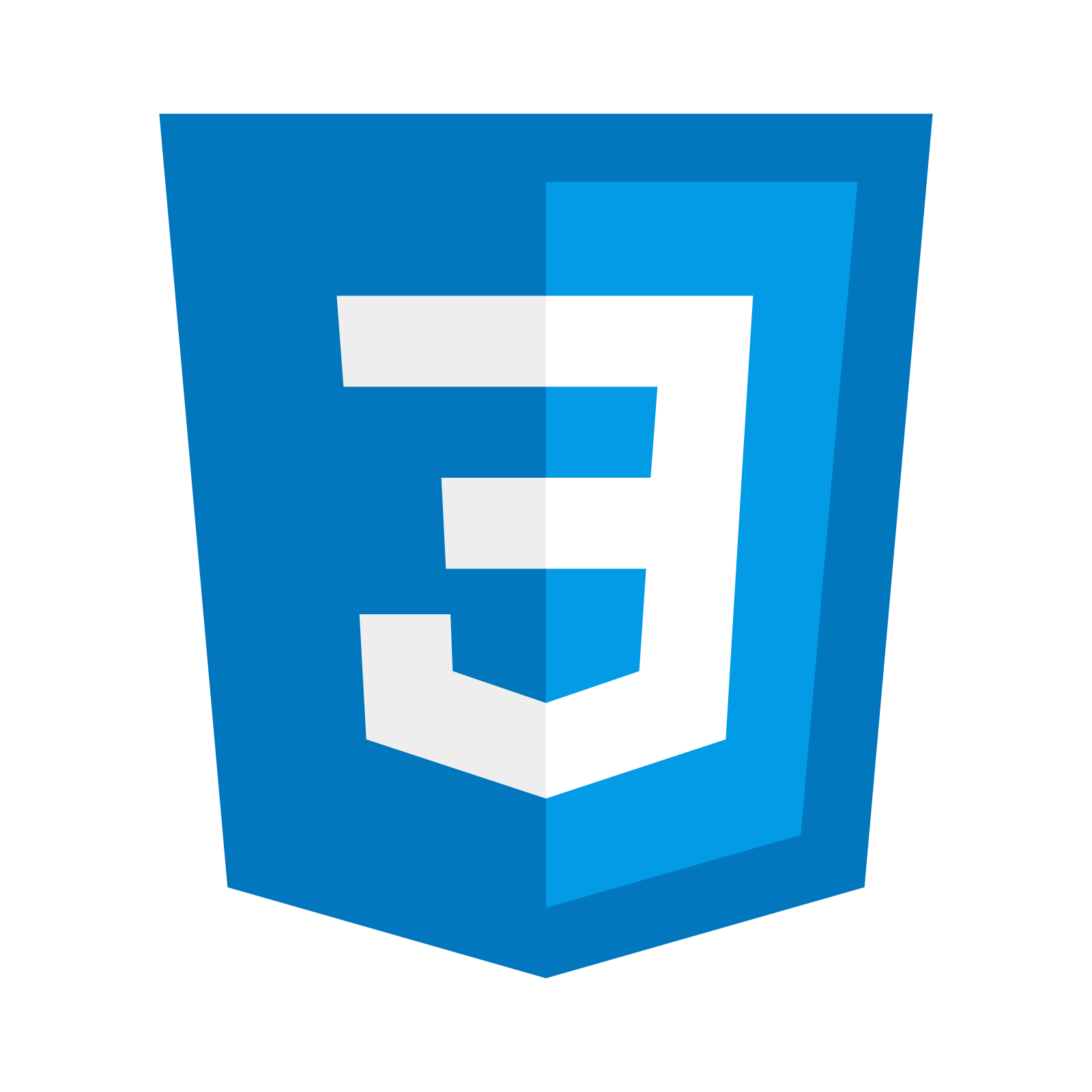 css icon